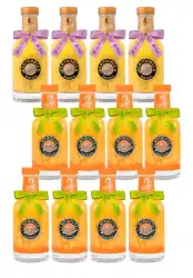 Artikelbild des Artikels “8 x 0,2 L VERPOORTEN PFIRSICH-MARACUJA Eierlikör 17 %vol und 4 x 0,2 L VERPOORTEN AMARETTO APRICOT 17 %vol “